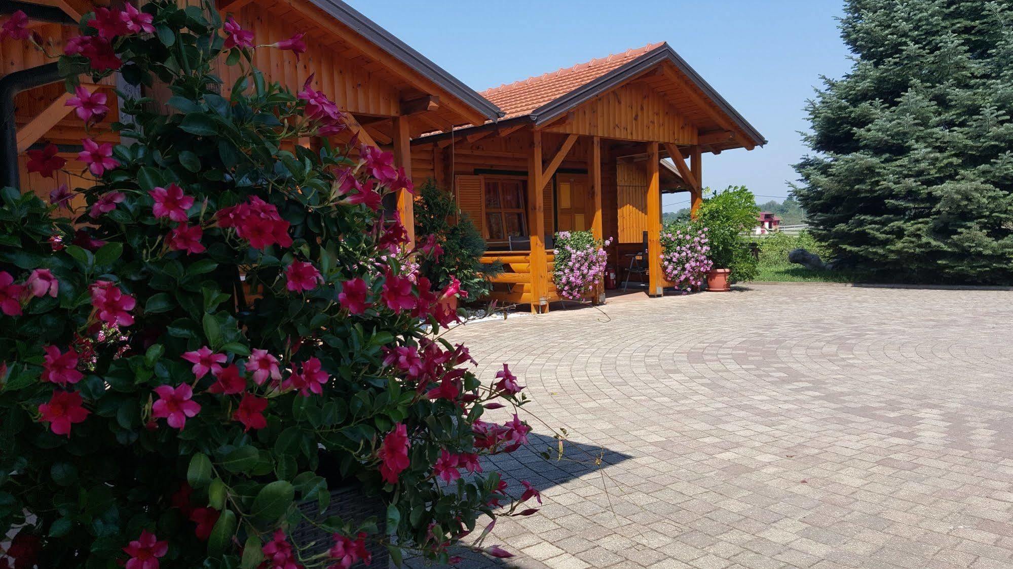 House Tina Hotel Grabovac  Ngoại thất bức ảnh
