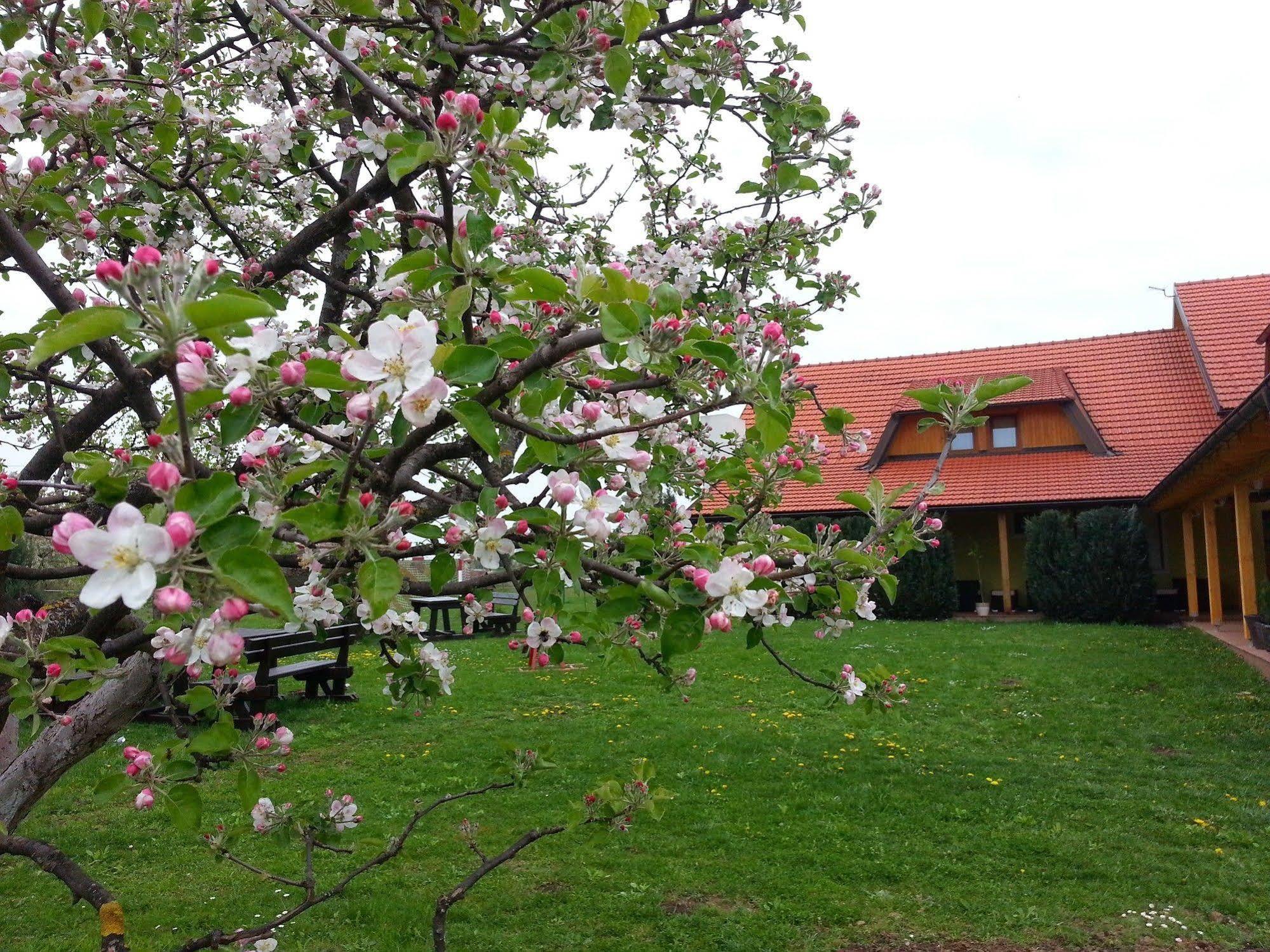 House Tina Hotel Grabovac  Ngoại thất bức ảnh